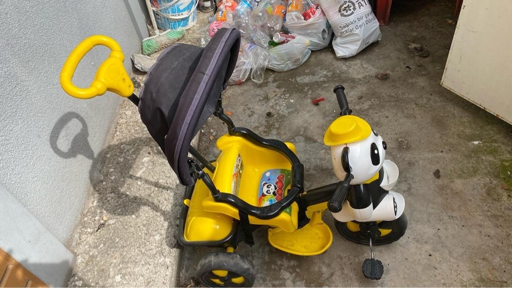 panda araba - 3