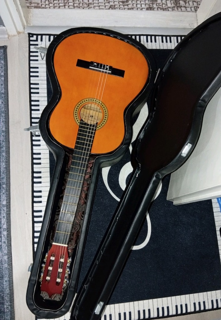 Laguna (Klasik Gitar) ve El yapımı Gitar kutusu - 2