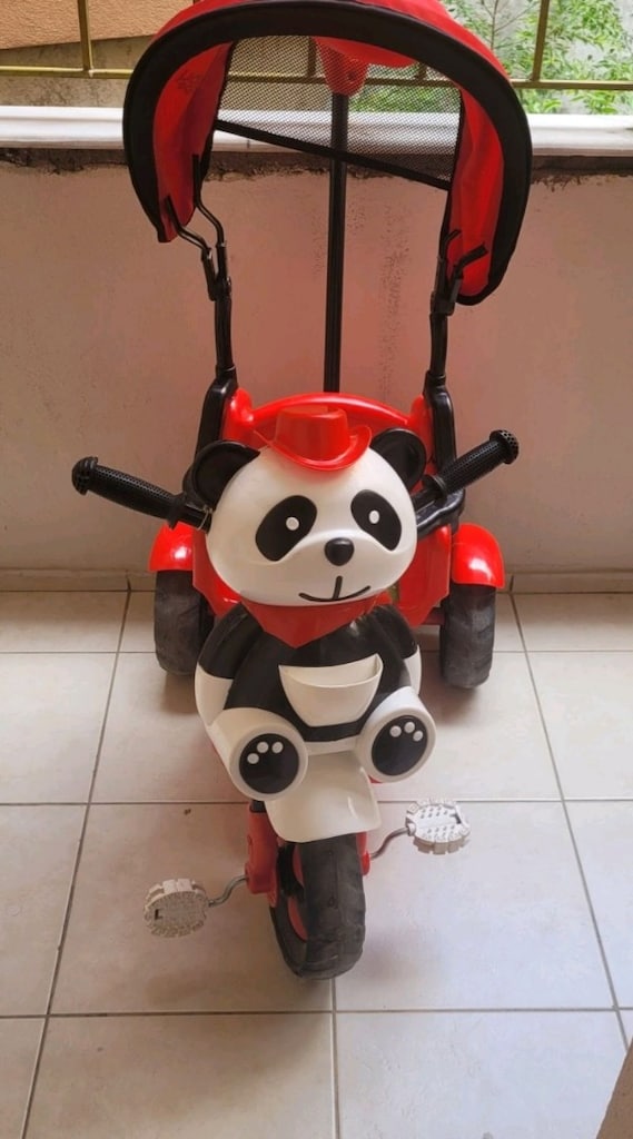 Bisiklet Panda