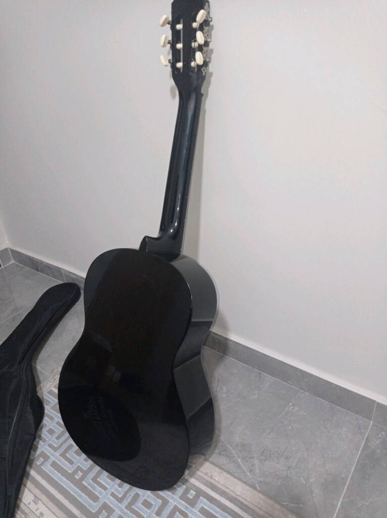 VALENCİA GİTAR 4/4 - 8