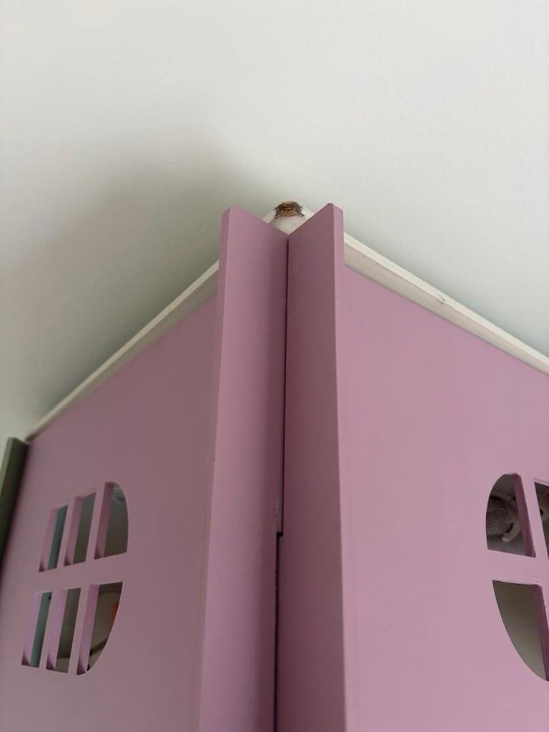 ahşap barbie evi - 2