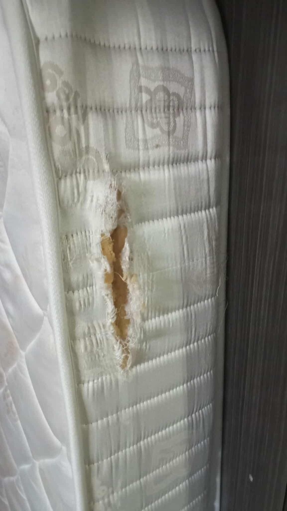 2NCİ EL KULLANILMIŞ İKİ KİŞİLİK YATAK TEMİZ 150X200 PAZARLIKSIZ 1250 - 2