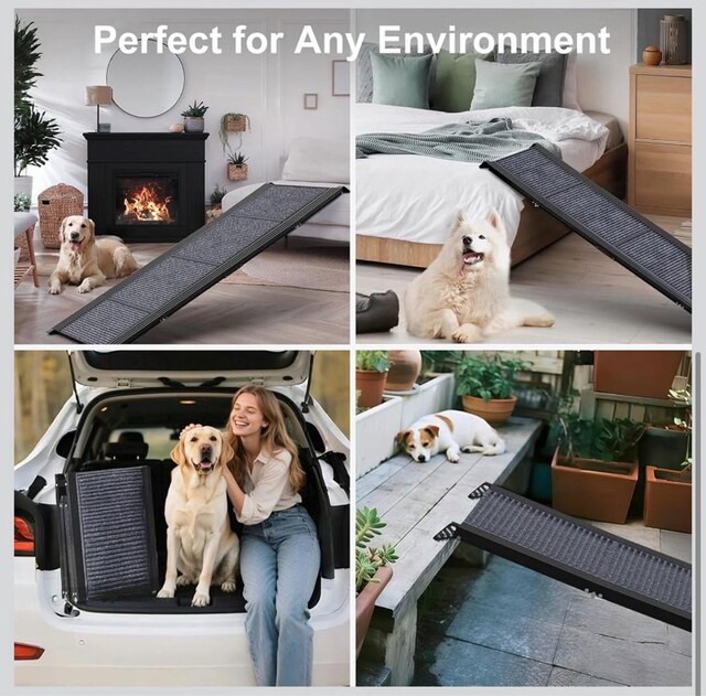 Köpek Rampası (Amerika’dan Getirilmiş Premium Katlanılabilir Rampa)