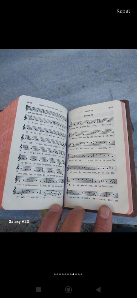 1952 Belçika başımı antika deri cilt misal kitabı - 5