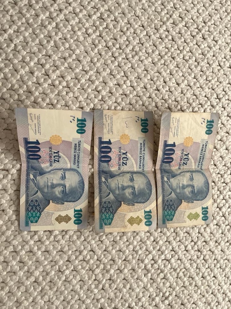koleksiyonluk 100 YTL - 2