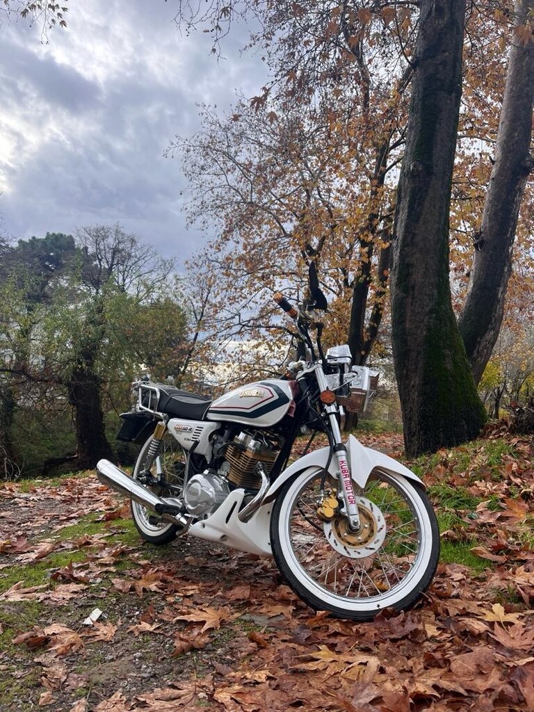 CG 50r GOLD - 6