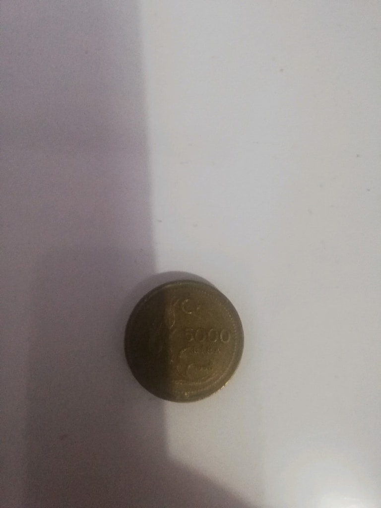 Koleksiyon paraları - 7