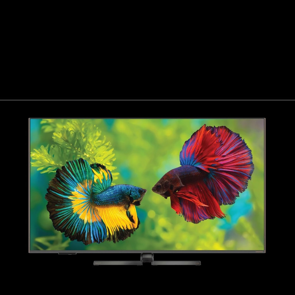 Grundig 65 GHQ 9500A QLED TV Akıllı Tv - 2