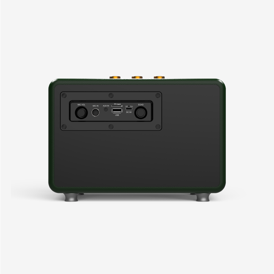 Premium Çift Mikrofonlu 50W Retro Bluetooth Radyo Hoparlör M407 - 3
