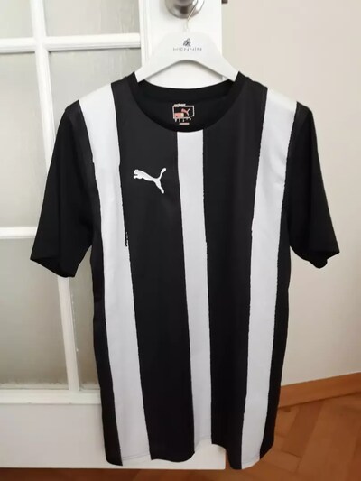 Puma forma