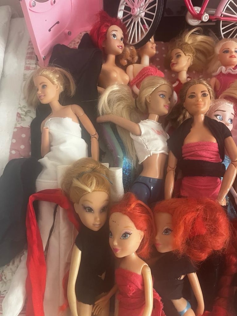 Çeşitli Barbie ve Winx Oyuncak - 5
