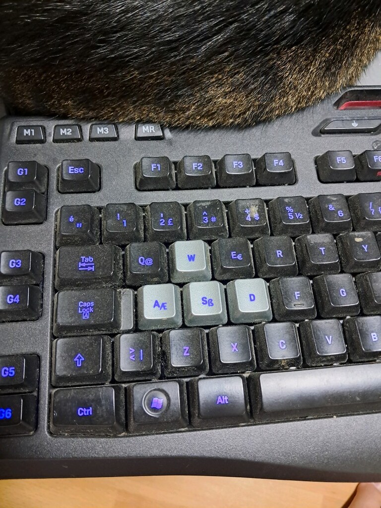 Logitech Klavye - 4