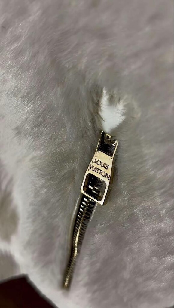 Louis Vuitton - 4