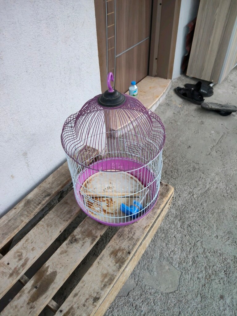 yüksekliği 45 cm genişliği 35 cm kuş kafesi - 2