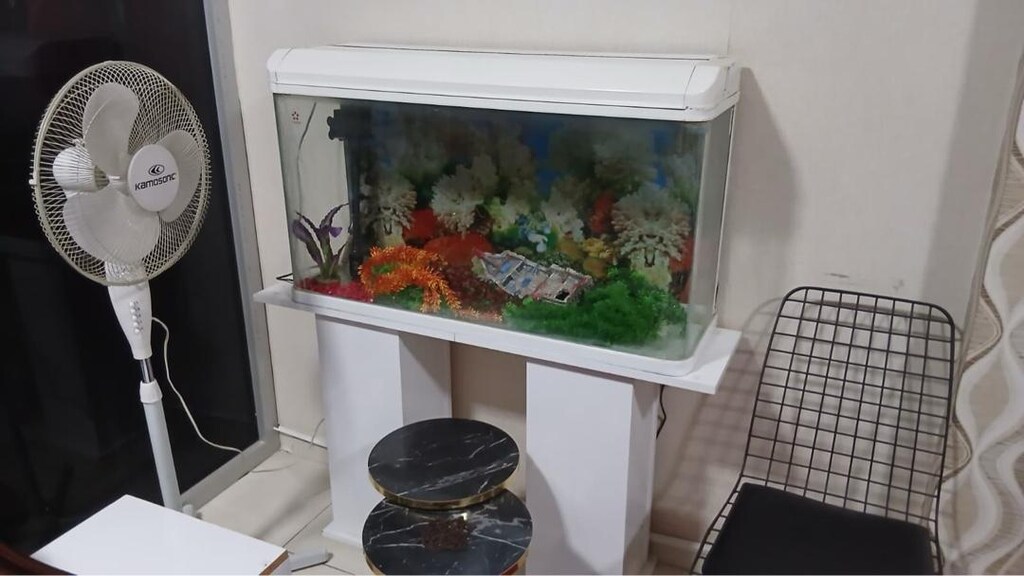 Büyük Akvaryum - 2