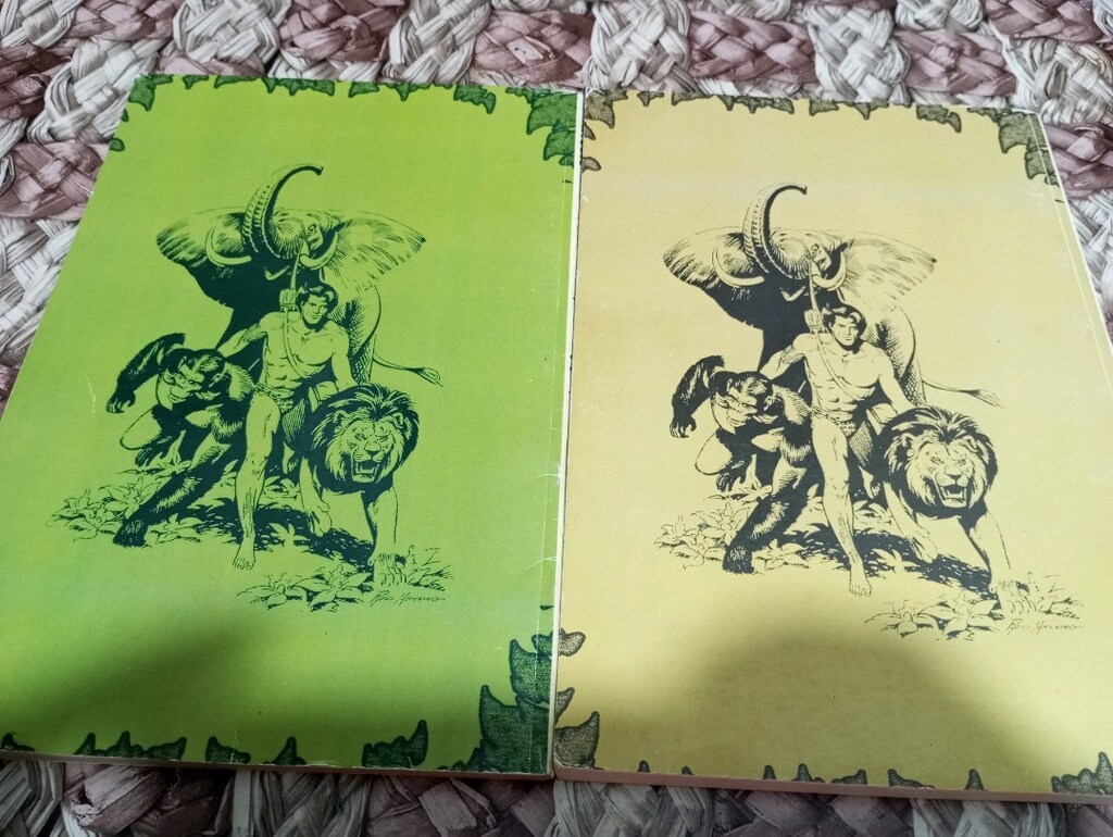 Tarzan cilt 2-6 çok nadir çizgi roman - 13