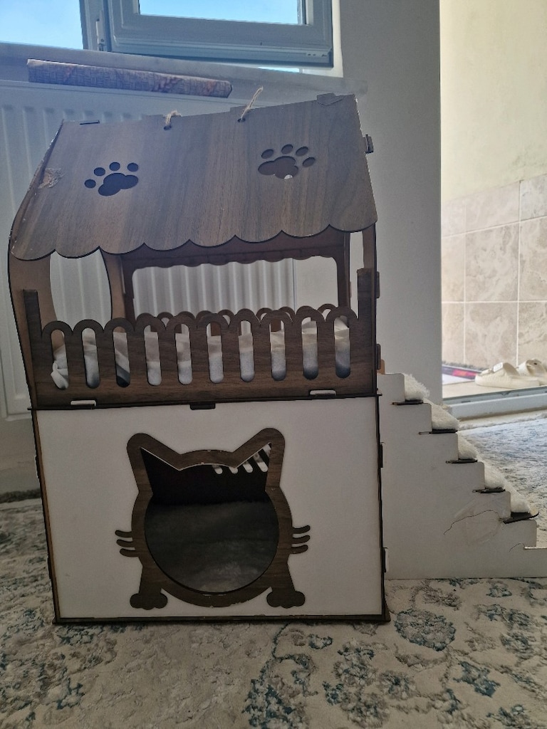 kedi evi - 3
