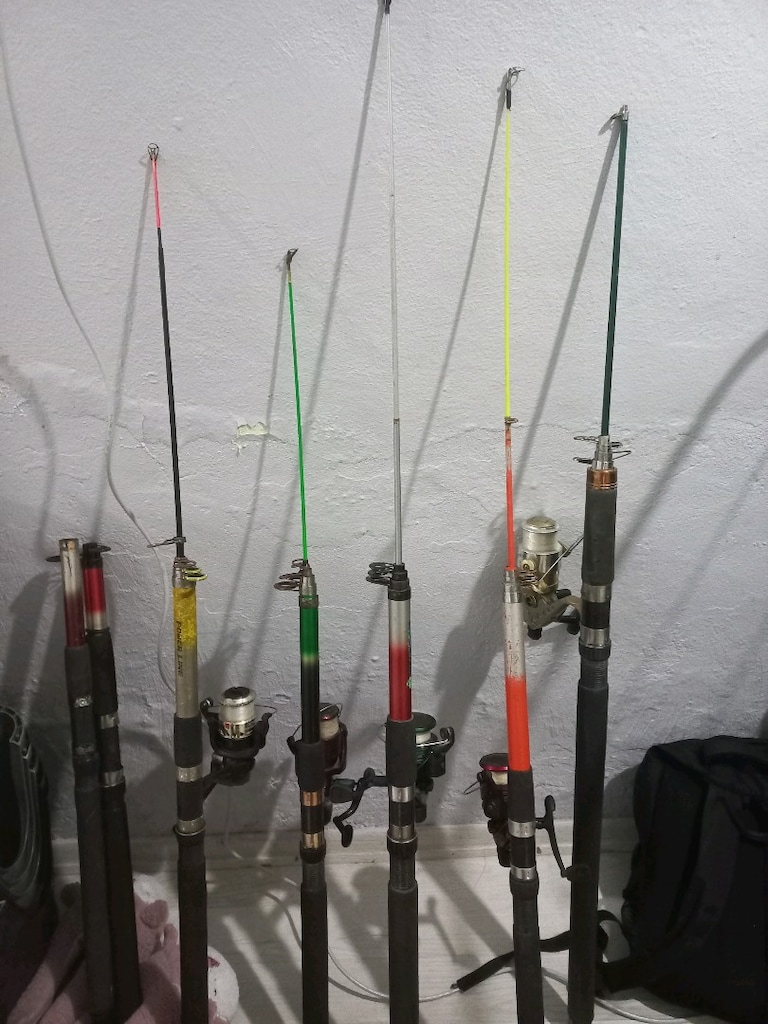 Balık holtasi 3,50 saglam temiz tanesi 750 tr - 2