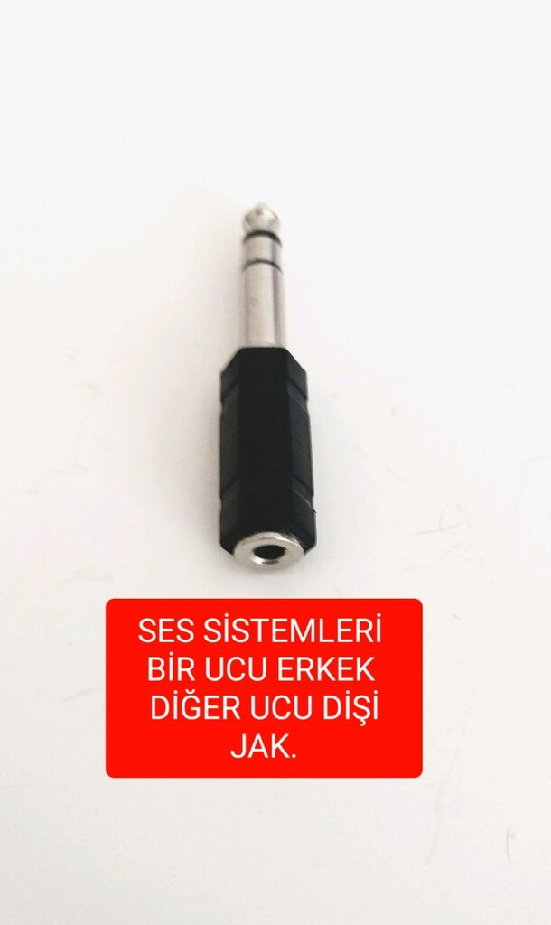 SES SİSTEMLERİ *BİR UCU ERKEK DİĞER UCU DİŞİ. *ERKEK. JAKLAR. - 2