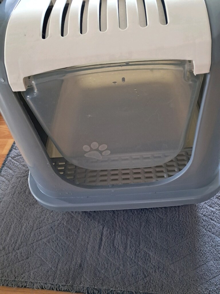 Kedi Tuvaleti - 2