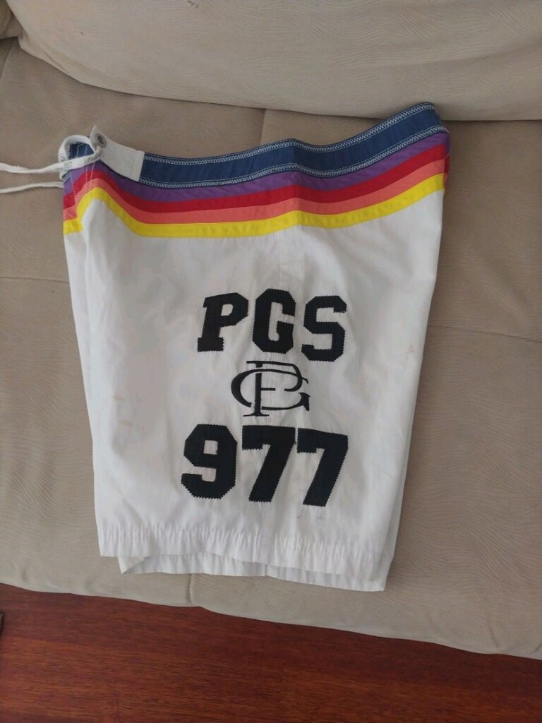 polo deniz havuz şortu - 4
