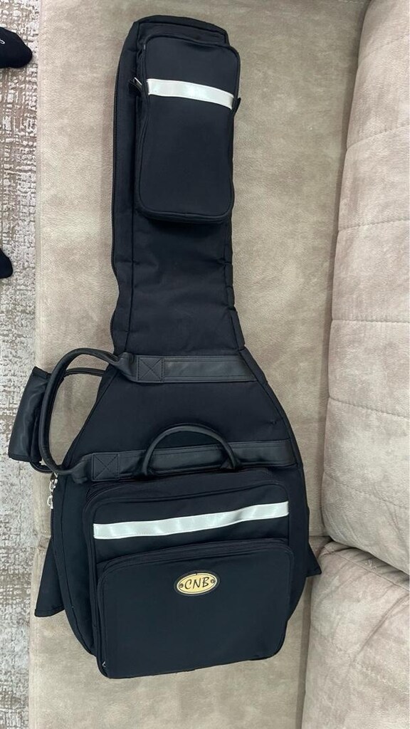 elektro gitar kılıfı - 3