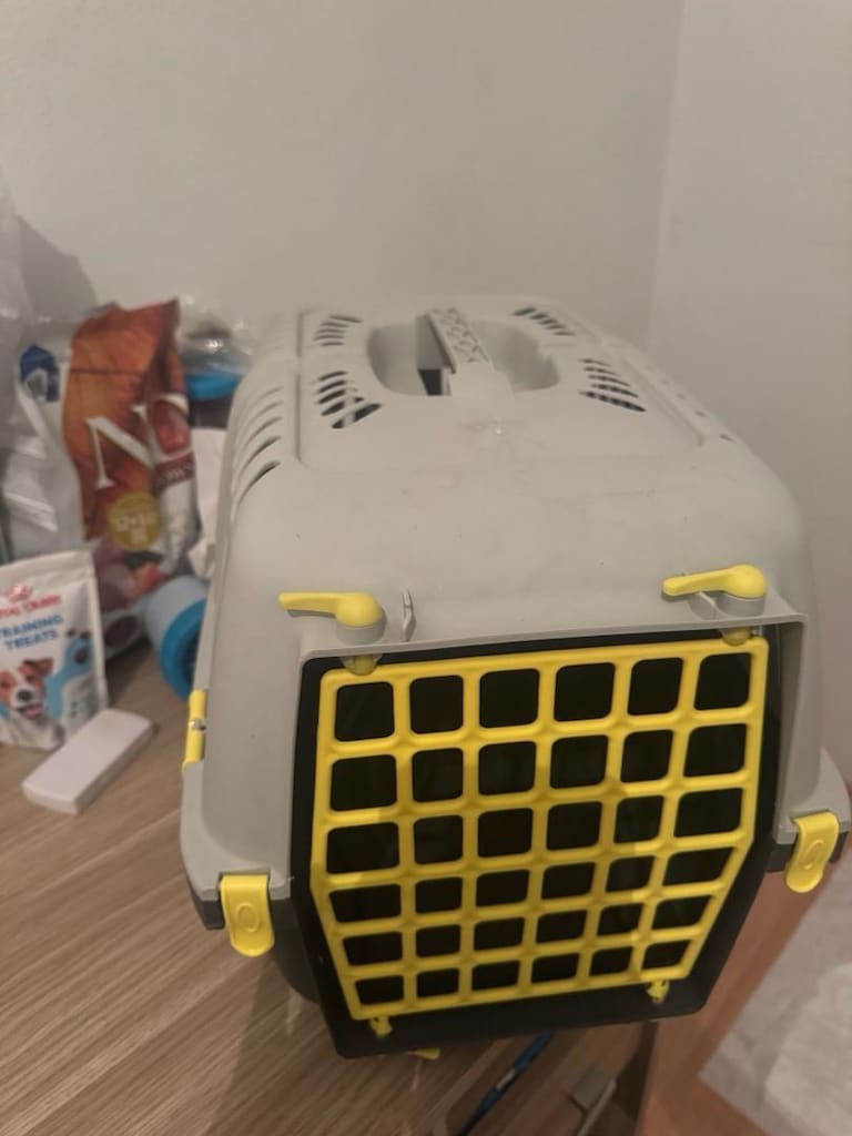 kedi köpek box - 2