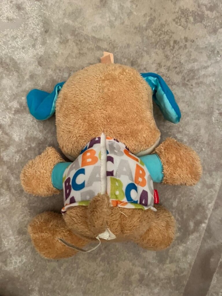 Fisher Price Eğitici Köpekçik - 3