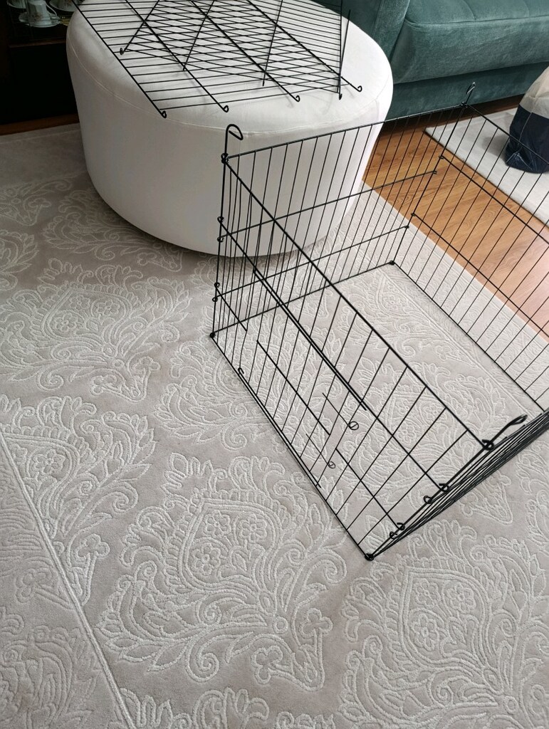 KÖPEK ÇİTİ - 2