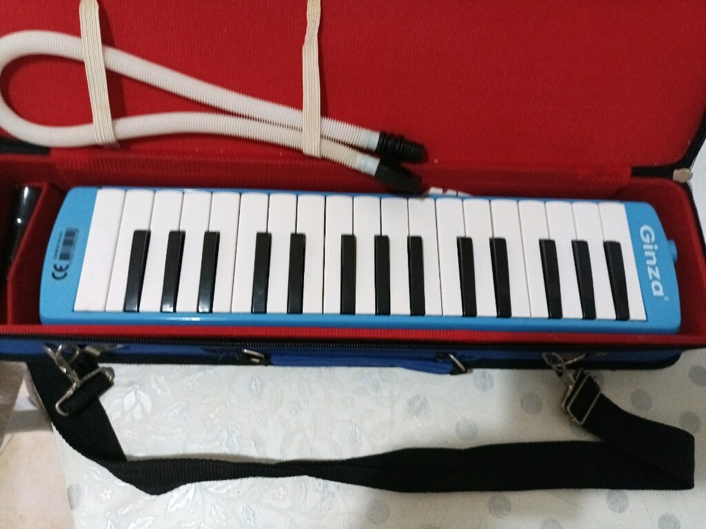 melodıka müzik aletı - 3