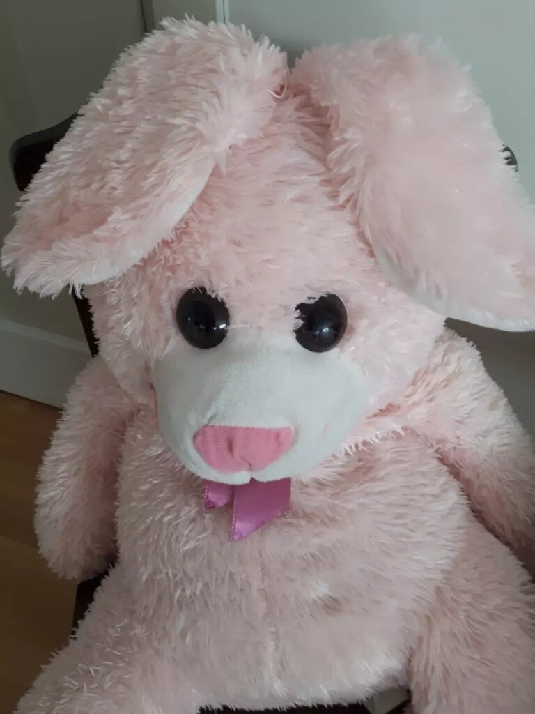Pelus pembe ayı - 2