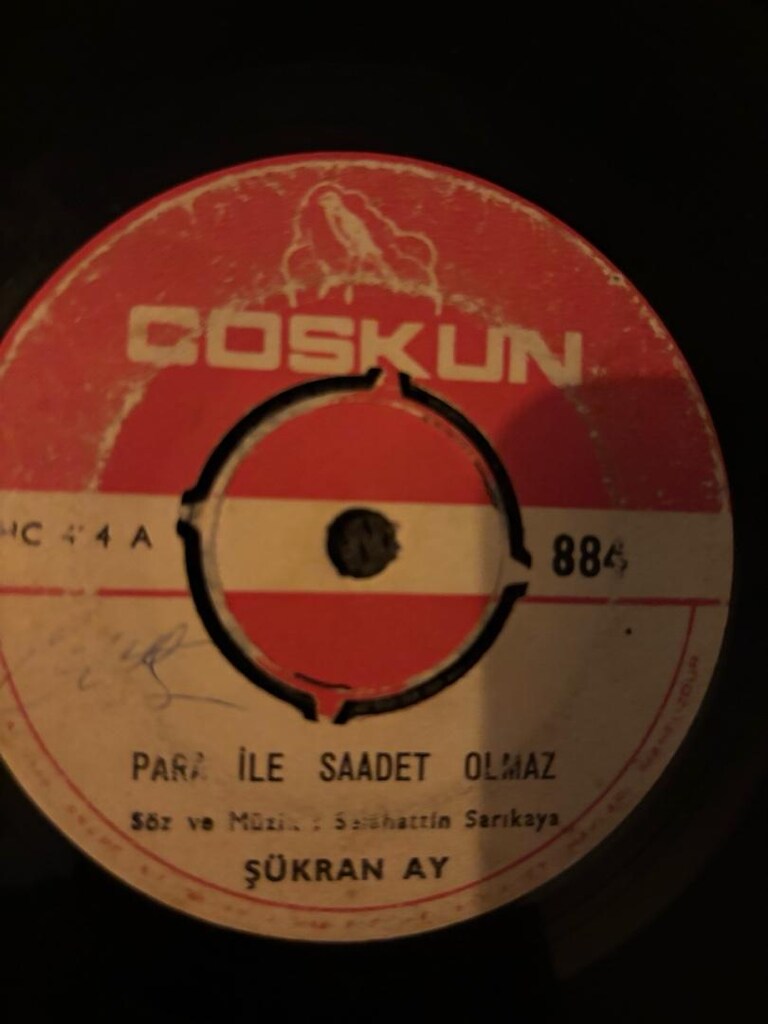yerli 33lük plaklar - 9