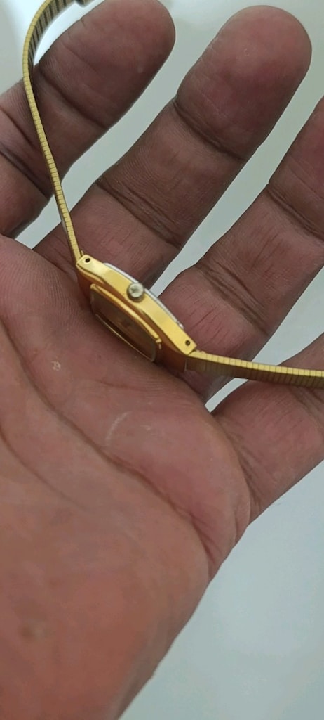 citizen japan Gold bayan 1990 - 2