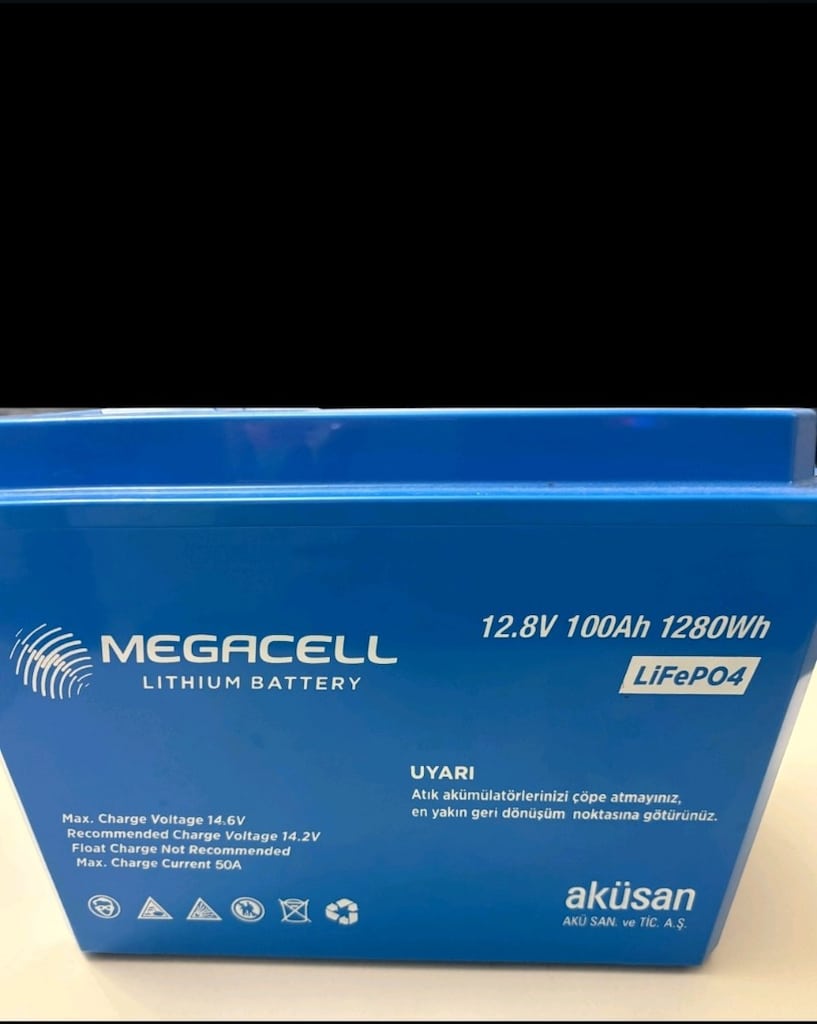 Megacell 100 ah lifepo4 - 2