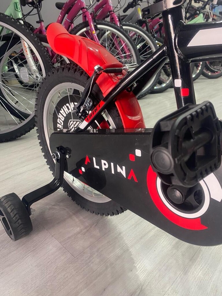 16 cant alpina bisiklet - 4