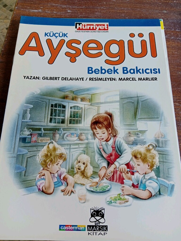 Ayşegül kitapları - 7