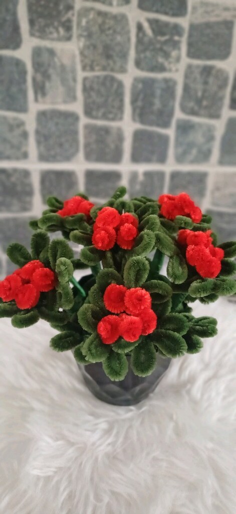 Saksılı Kokina Çiçek - 2