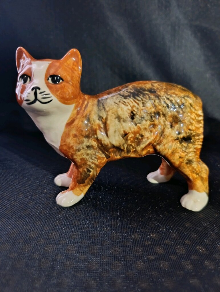 Kedi biblosu - 3