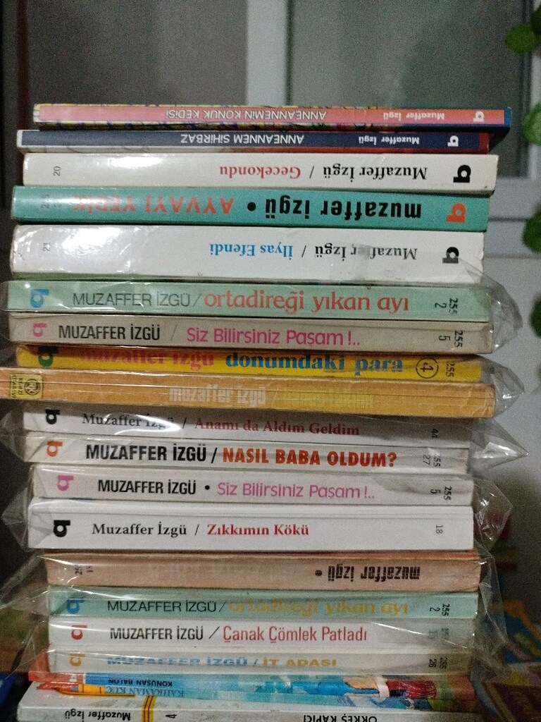 MUZAFFER İZGÜ KİTAPLARI - 2