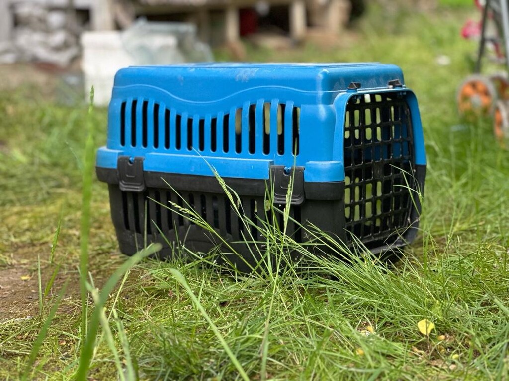 KEDİ KÖPEK TAŞIMA ÇANTASI - 3