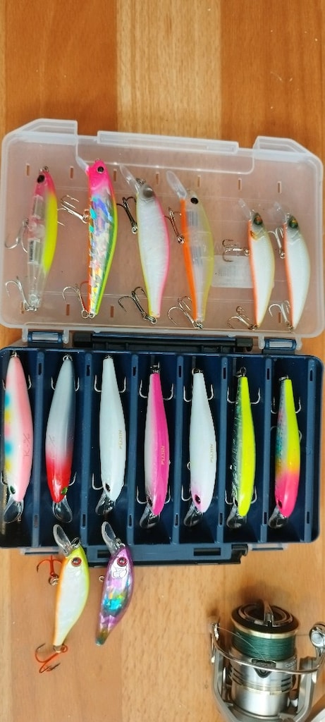 Spin Seti : Daiwa Ballistic-X 7-28 Gr / Shimano Sedona C2000s Makina - 3