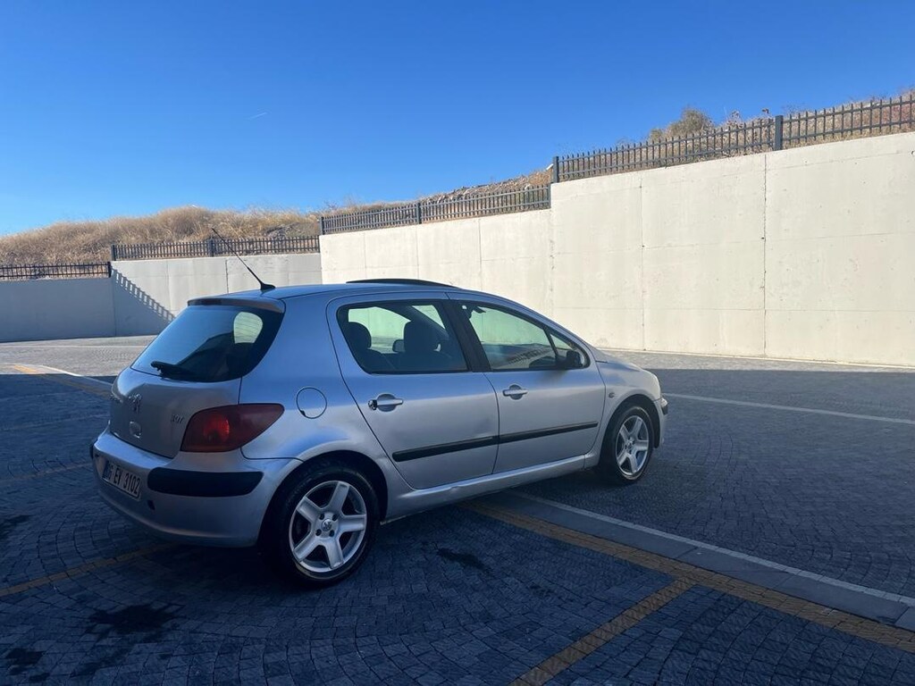 Temiz Otomatik 307 Full - 8