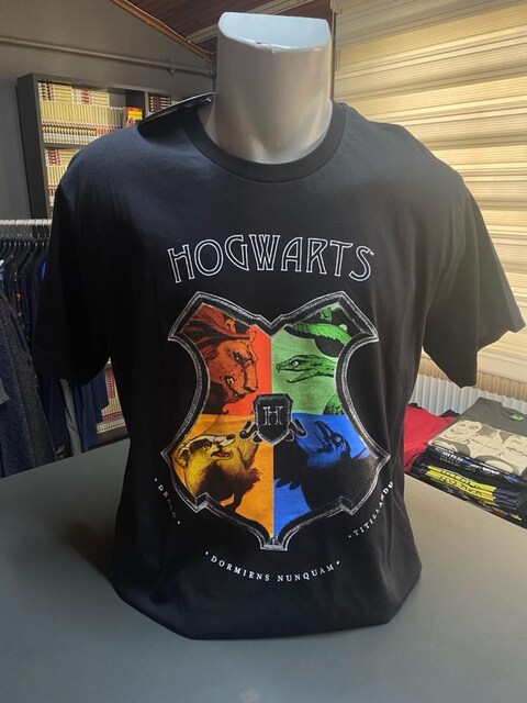 hogwarts harry potter