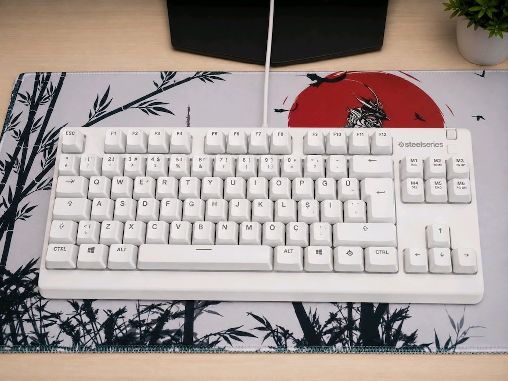 SteelSeries Apex 3 TKL White RGB Mekanik Hisli Oyuncu Klavyesi
