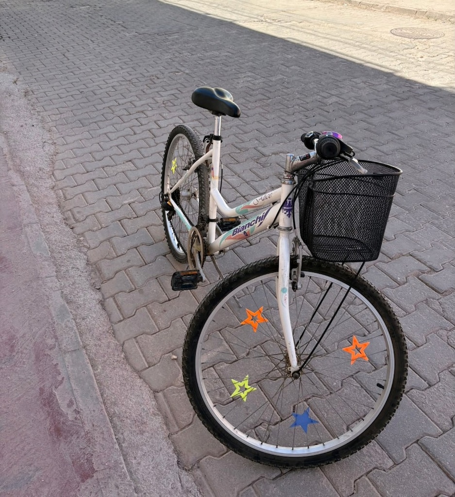 Bianchi bisiklet - 4