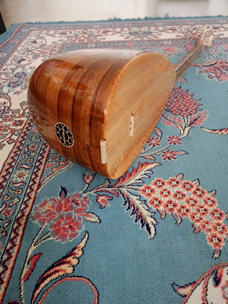 Tok sesli yarı profesyonel Sıfır Kısa Sap Bağlama - 2