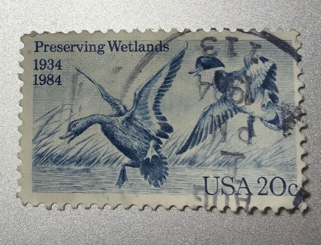 1 Adet Amerika Pulu 1984 / Sulak Alanların Korunması Yasasının 50. Yıl