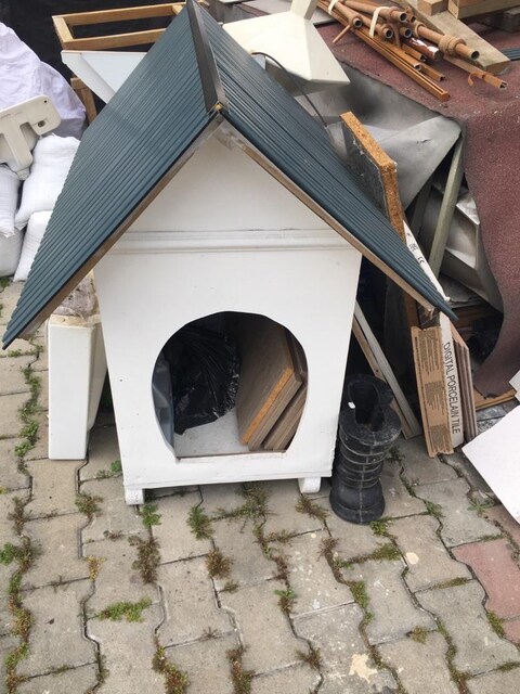 köpek külübesi