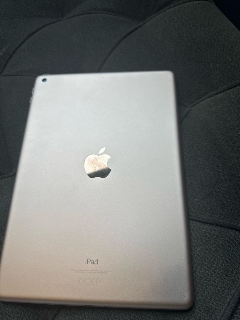 iPad - 3