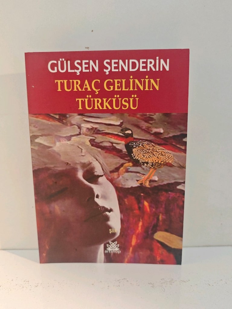 yazarlardan 11 adet şiir kitabı - 13